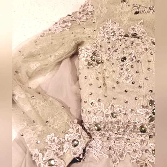 Long Sleeve Formal Lace Maxi Long Sleeve, Clear Jewels, Beads,Sequin, Pleated, 8 - Picture 10 of 16